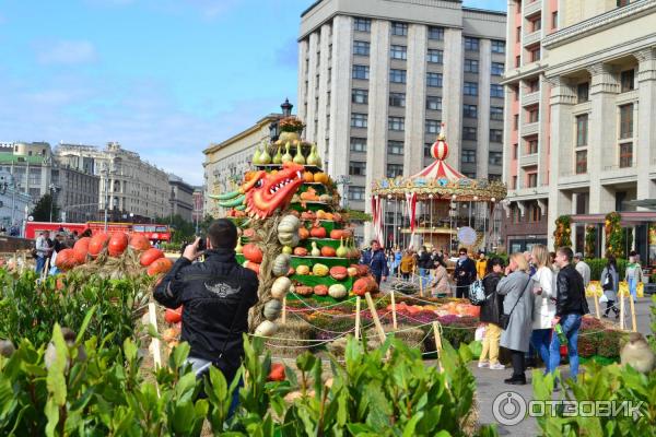 Площадь Манежная (Россия, Москва) фото