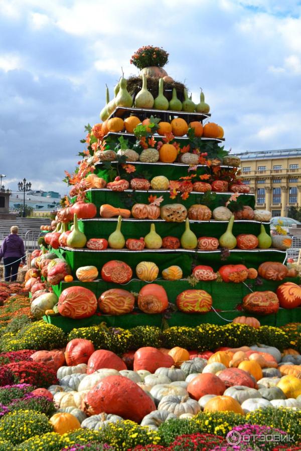 Площадь Манежная (Россия, Москва) фото