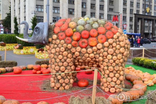 Площадь Манежная (Россия, Москва) фото