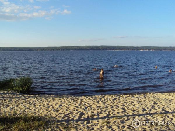 Берег Сурского водохранилища