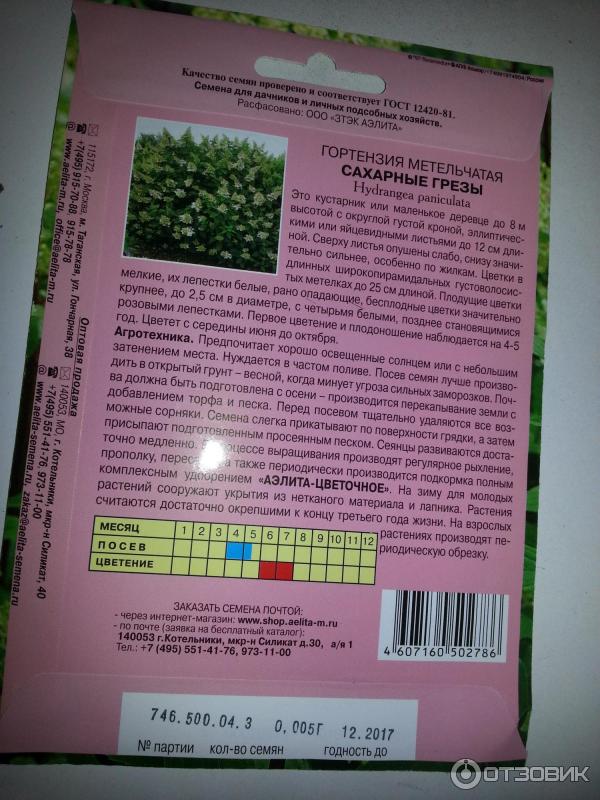 Интернет магазин семена гортензии. Как выглядят семена гортензии.