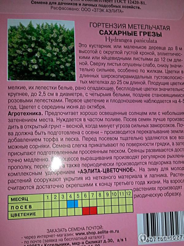 Заказать семена гортензии с доставкой по Беларуси | Беккер