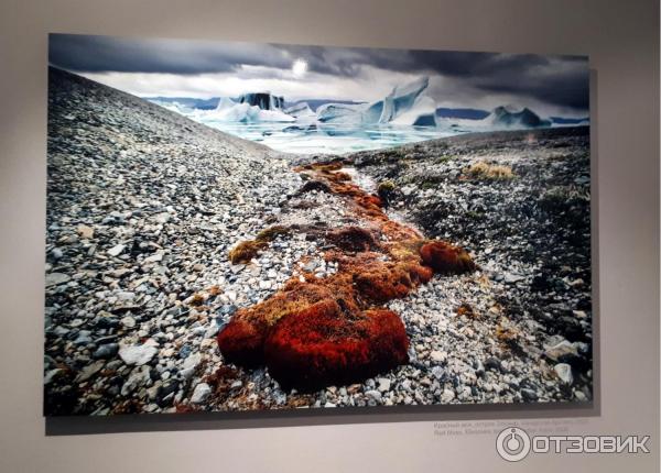 Выставка Чистая Арктика Себастьяна Коуплэнда в Центре Фотографии им. Братьев Люмьер (Россия, Москва)