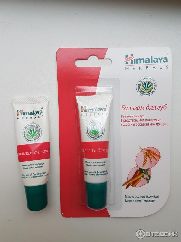 Бальзам для губ Himalaya Herbals фото