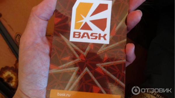 Зимняя мужская куртка Bask Alaska V2 фото