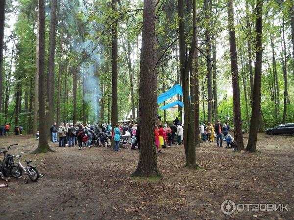 Экскурсионный тур Переделкино - город писателей (Россия, Московская область) фото