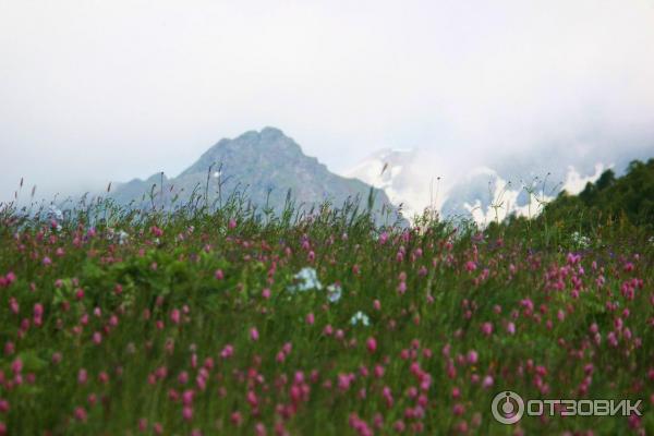 Экскурсия на горное озеро Любви (Россия, Архыз) фото