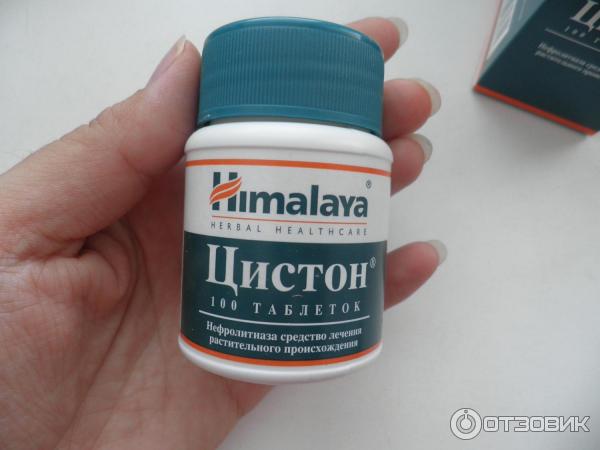 Цистон для кошек