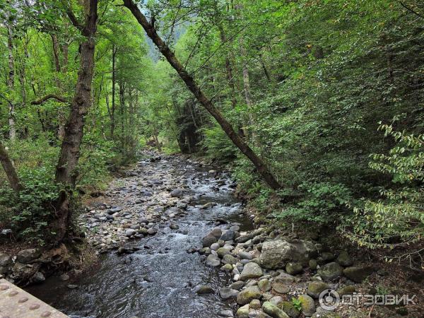 Отдых в г. Боржоми (Грузия, Самцхе-Джавахети) фото