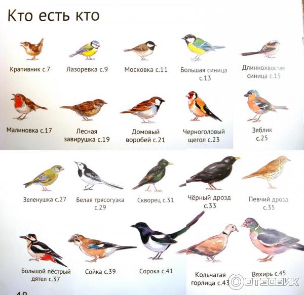 Фигурки птиц из полистоуна для сада и дачи