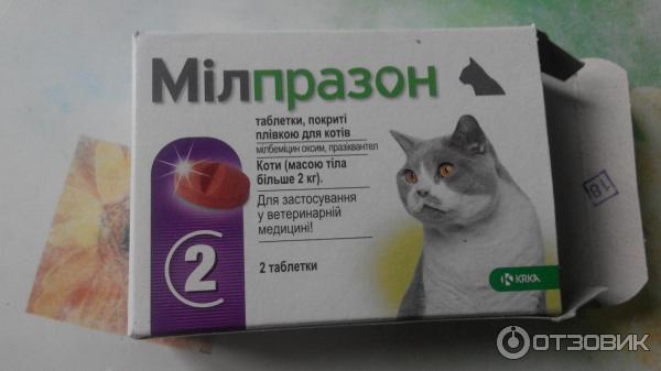 Милпразон для кошек отзывы