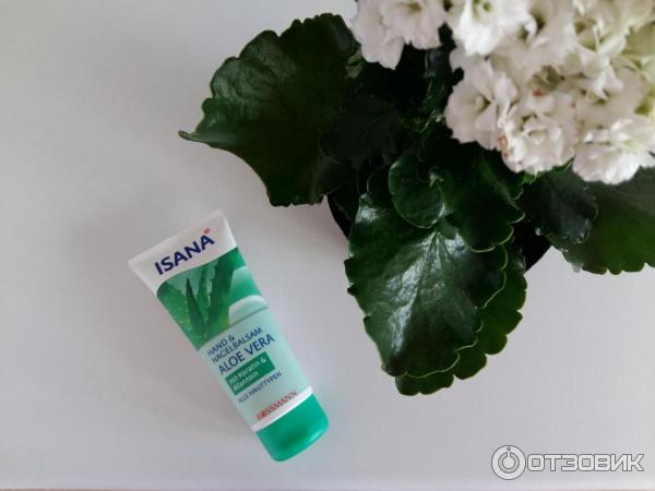 Крем для рук Rossmann Isana Aloe Vera фото