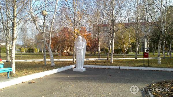 Дендрологический парк санатория Виктория (Россия, Ессентуки) фото