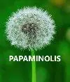 papaminolis