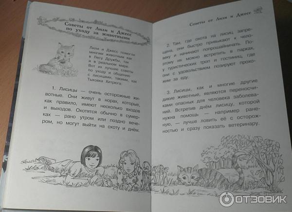 Книга Лисичка Тыковка, или Лунный камень - Дейзи Медоус фото