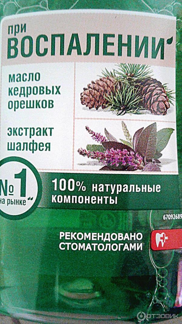 Ополаскиватель для десен Лесной бальзам Масло кедровых орешков и экстракт шалфея фото