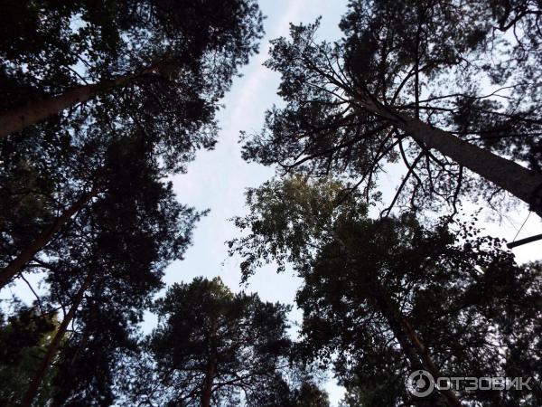 Центральный Парк Культуры и Отдыха им. Ю. Гагарина (Россия, Челябинск) фото