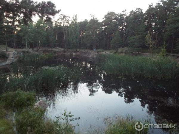 Центральный Парк Культуры и Отдыха им. Ю. Гагарина (Россия, Челябинск) фото