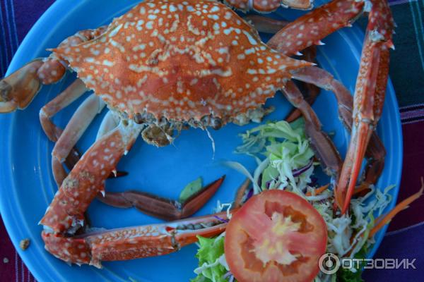 Летний отдых в Таиланде фото