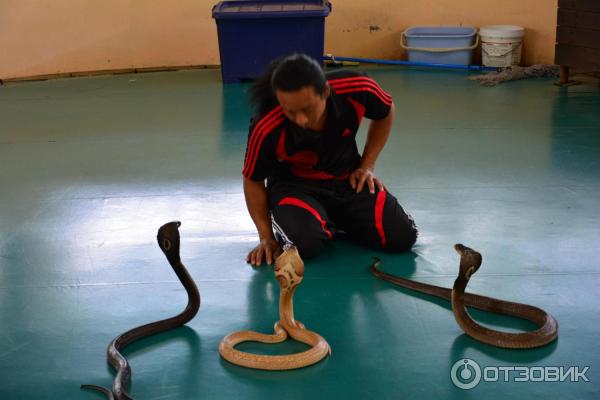 Летний отдых в Таиланде фото