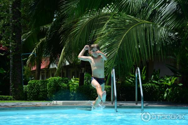 Летний отдых в Таиланде фото