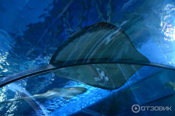 Летний отдых в Таиланде фото