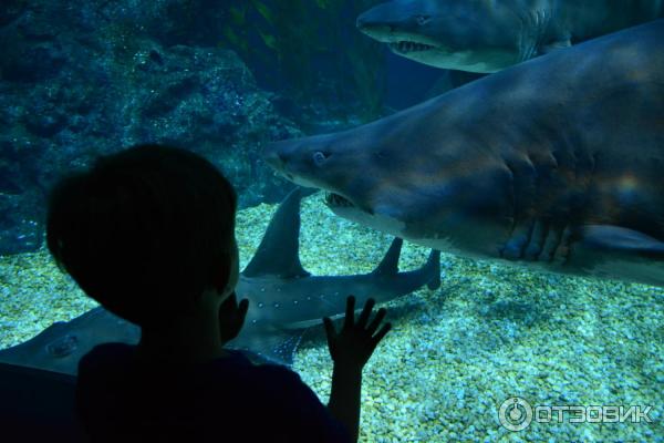 Летний отдых в Таиланде фото