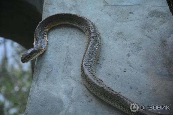 Летний отдых в Таиланде фото