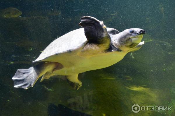 Летний отдых в Таиланде фото