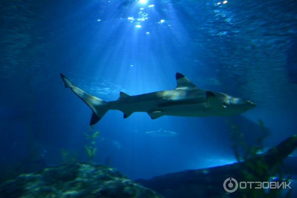 Летний отдых в Таиланде фото