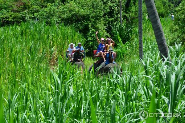 Летний отдых в Таиланде фото