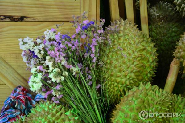 Летний отдых в Таиланде фото