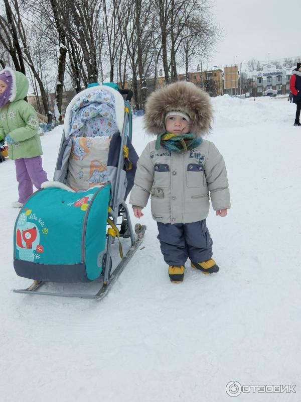 Санки прогулка. Санки прогулка