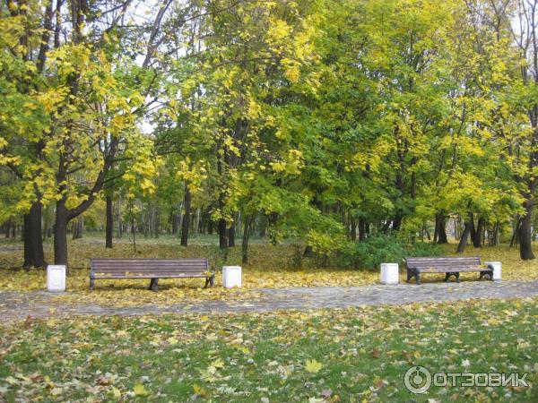 Мемориально-парковый комплекс посвященный 65-летию Победы (Россия, Москва) фото