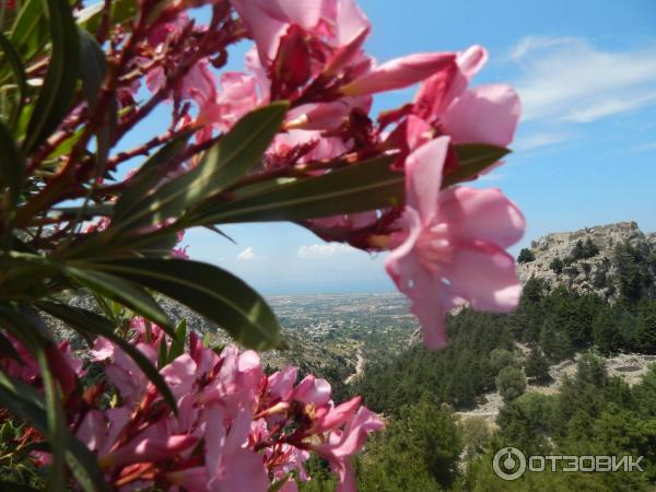 Отдых на о. Кос (Греция, Додеканес) фото