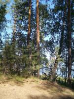 Озеро Большая Акуля (Россия, Кыштым) фото
