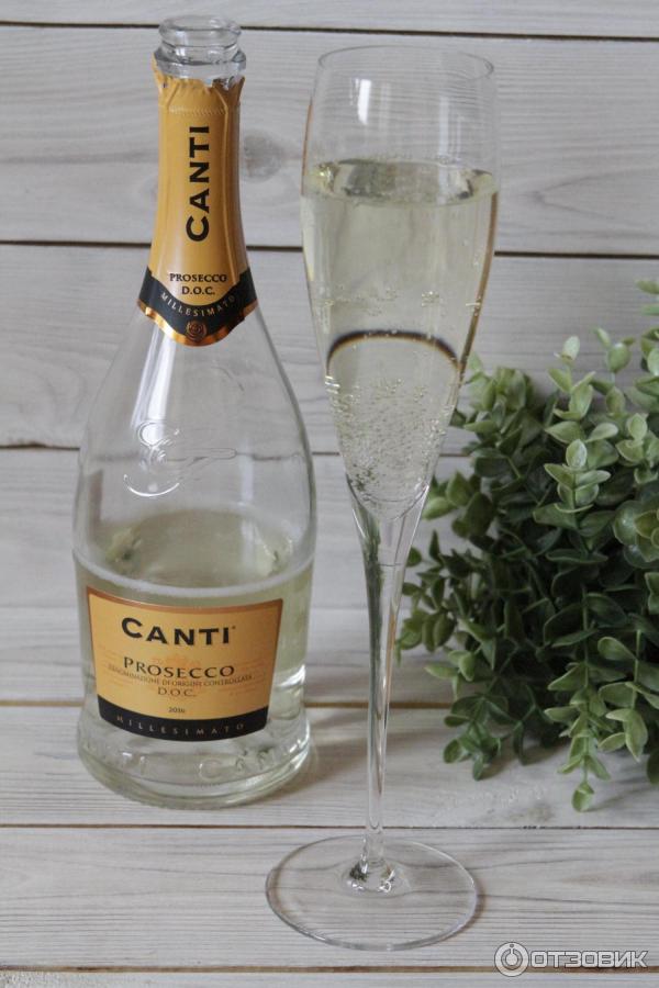 Игристое вино Canti Prosecco фото