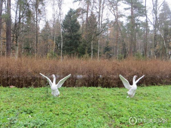 Санаторий Подлипки фото