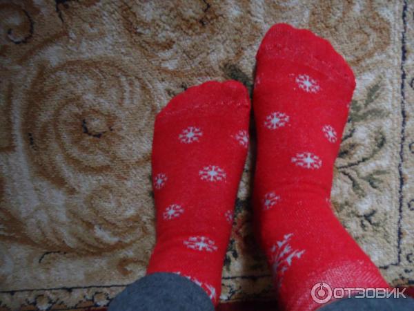 Женские теплые носки Premier Socks фото