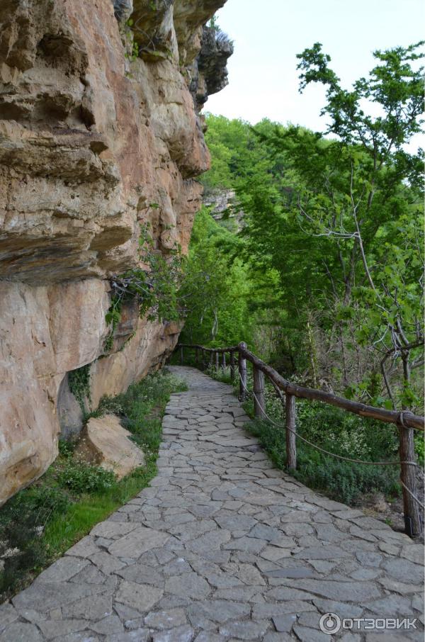 Экскурсия в заповедник Сатаплия (Грузия, Имеретия) фото