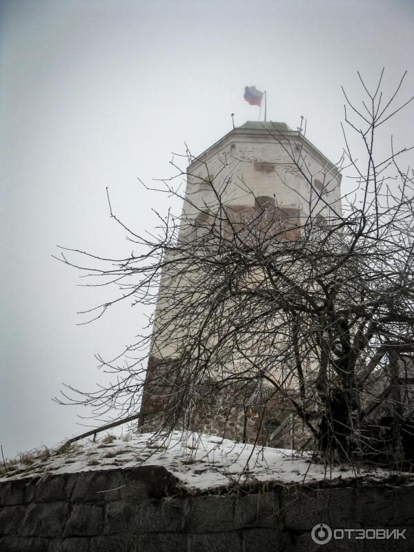 Экскурсия на башню Святого Олафа (Россия, Выборг) фото