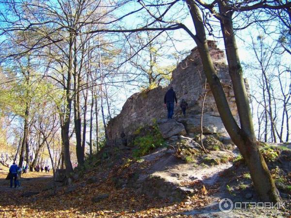 Высокий Замок (Украина, Львов) фото