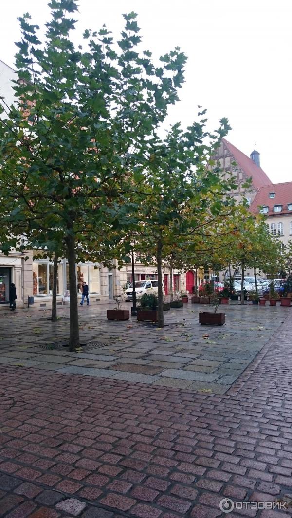 Экскурсия по г. Мейсен (Германия, Саксония) фото