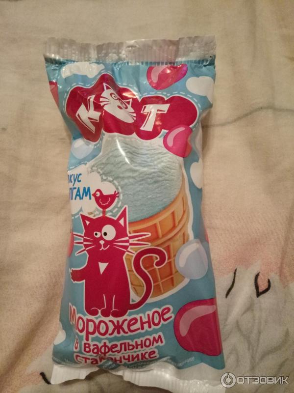Мороженое кот айсберри. Мороженое и кот. Котик мороженое. Кот бабл гам. Мороженое айсберри фруктовый лед кот.