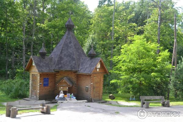 Наровчатский Троице-Сканов женский монастырь (Россия, Пензенская область) фото