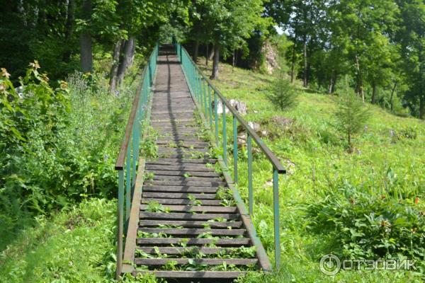 Наровчатский Троице-Сканов женский монастырь (Россия, Пензенская область) фото