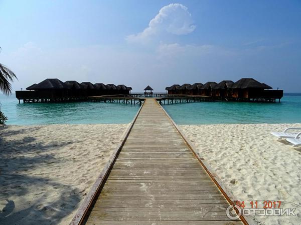 Отель Fihalhohi Island Resort, Мальдивы