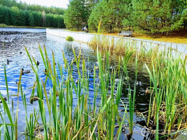 Санаторий Радон (Беларусь, Гродненская область) фото