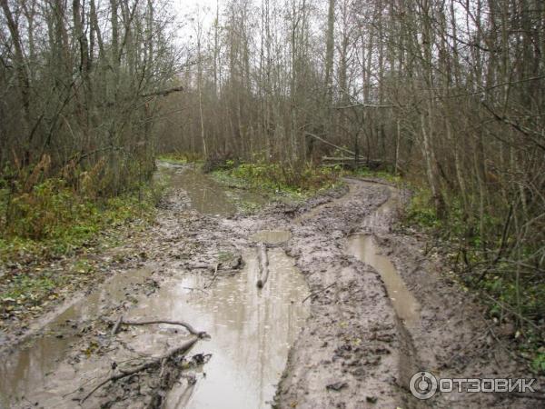 Экскурсия в усадьбу М. В. Ломоносова Усть-Рудица (Россия, Ленинградская область) фото