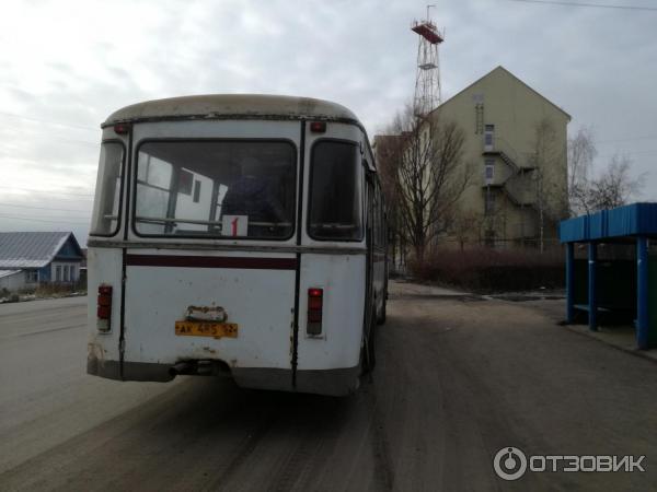 Автобус арзамас кирилловка 10а. Арзамасский автобус. Автобусы Арзамас. Арзамасский автобус 2014. Турецкие автобусы в Арзамасе.